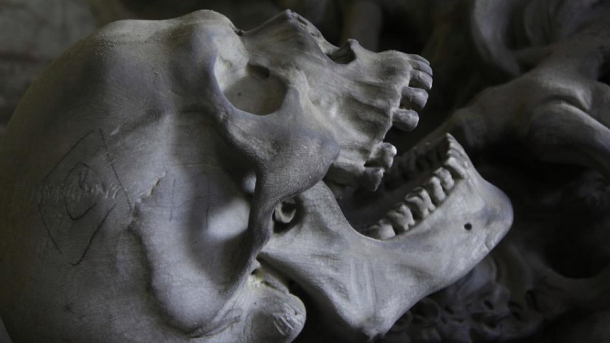 creier_uman_ilustrativ_craniu_corp_fosile_90513100