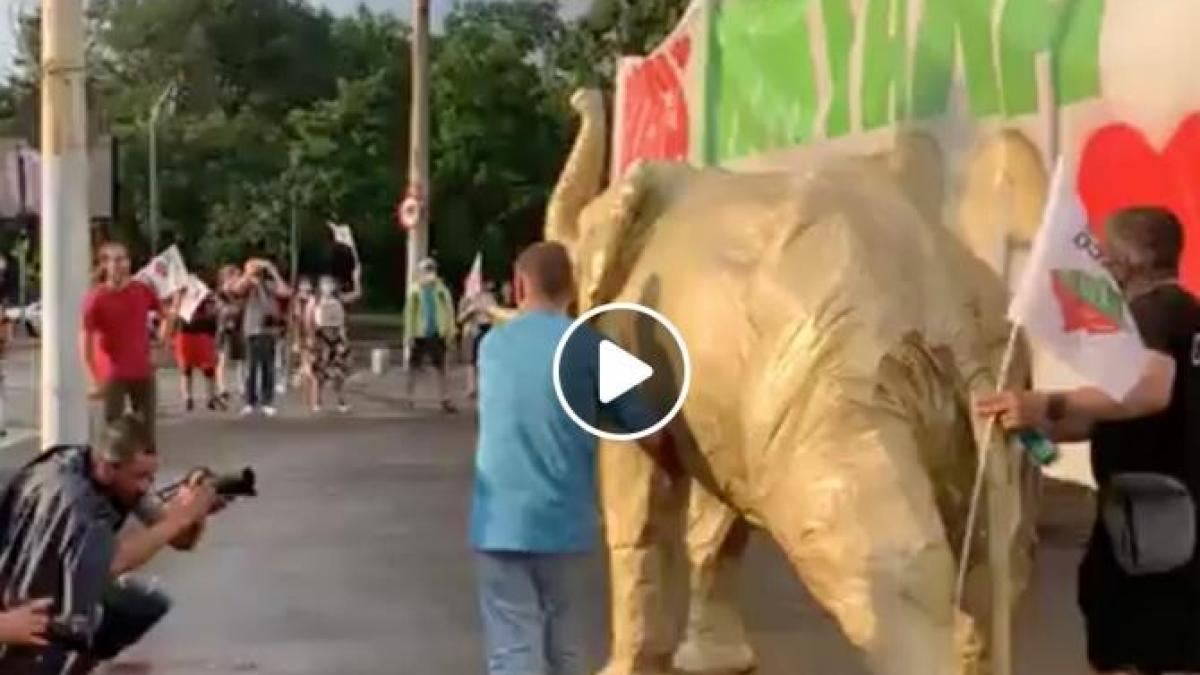 protest-rosia-montana-cotroceni_82803500