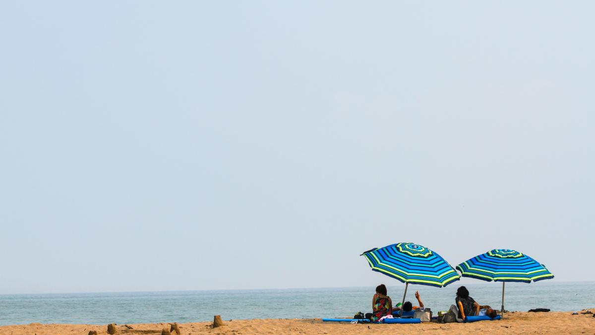 canicula_bestia_africana_meteo_anm_unsplash_46324000