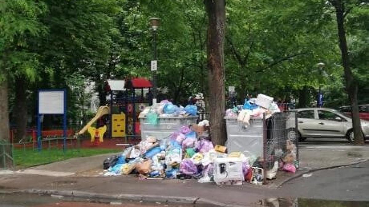 gunoi_sector_1_laura_cioba_fb_45882800