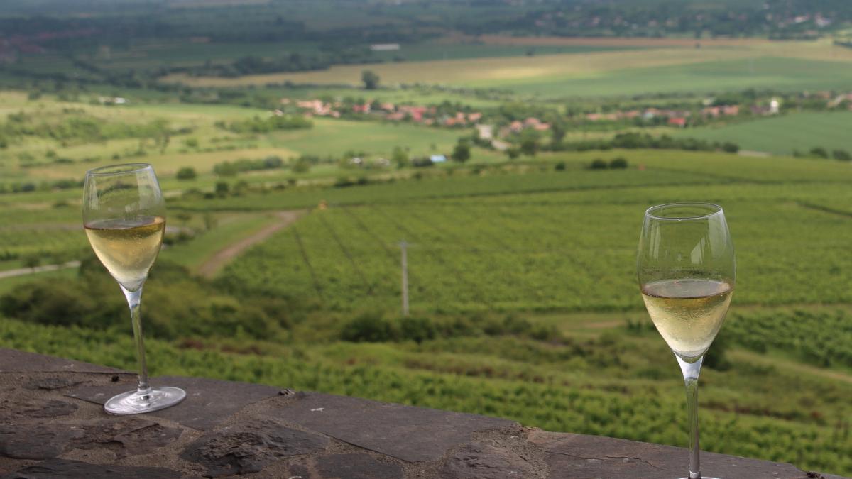 villa-vinea_67177000