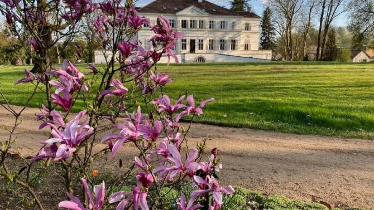 parcul-regal-savarsin-deschis-pentru-turisti_93728100