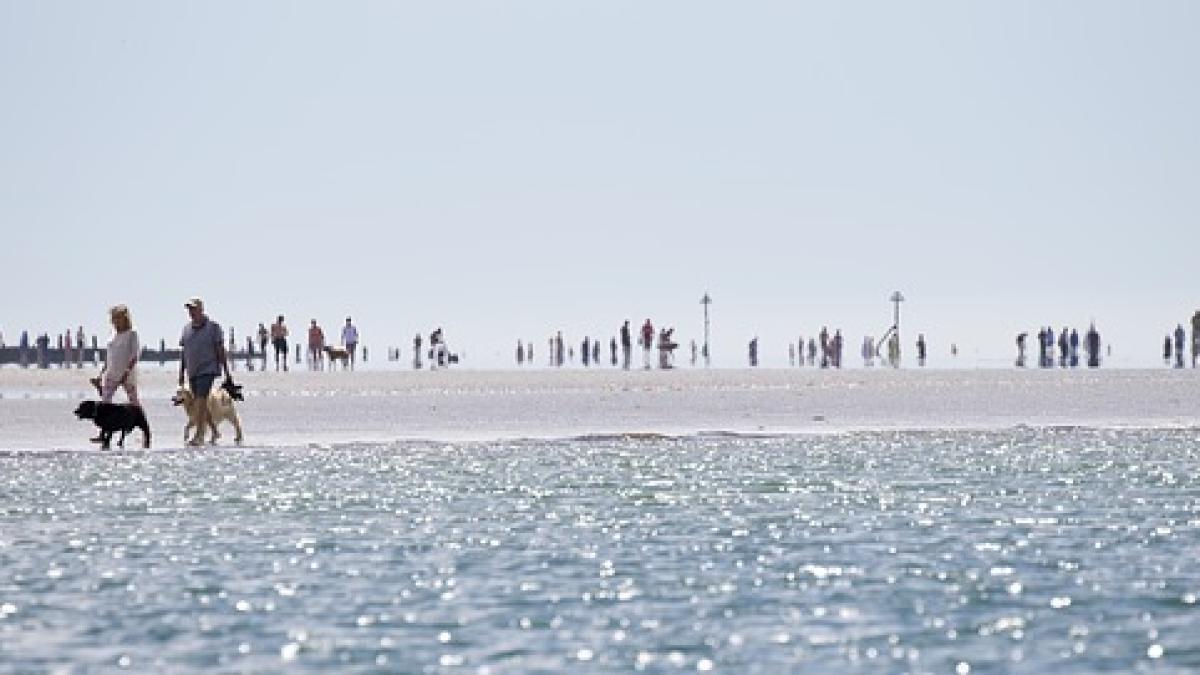 caldura-romania-13-14-iulie_13825500