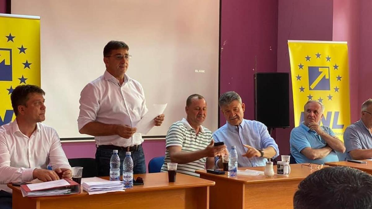 pnl-alba-alegeri_20533000