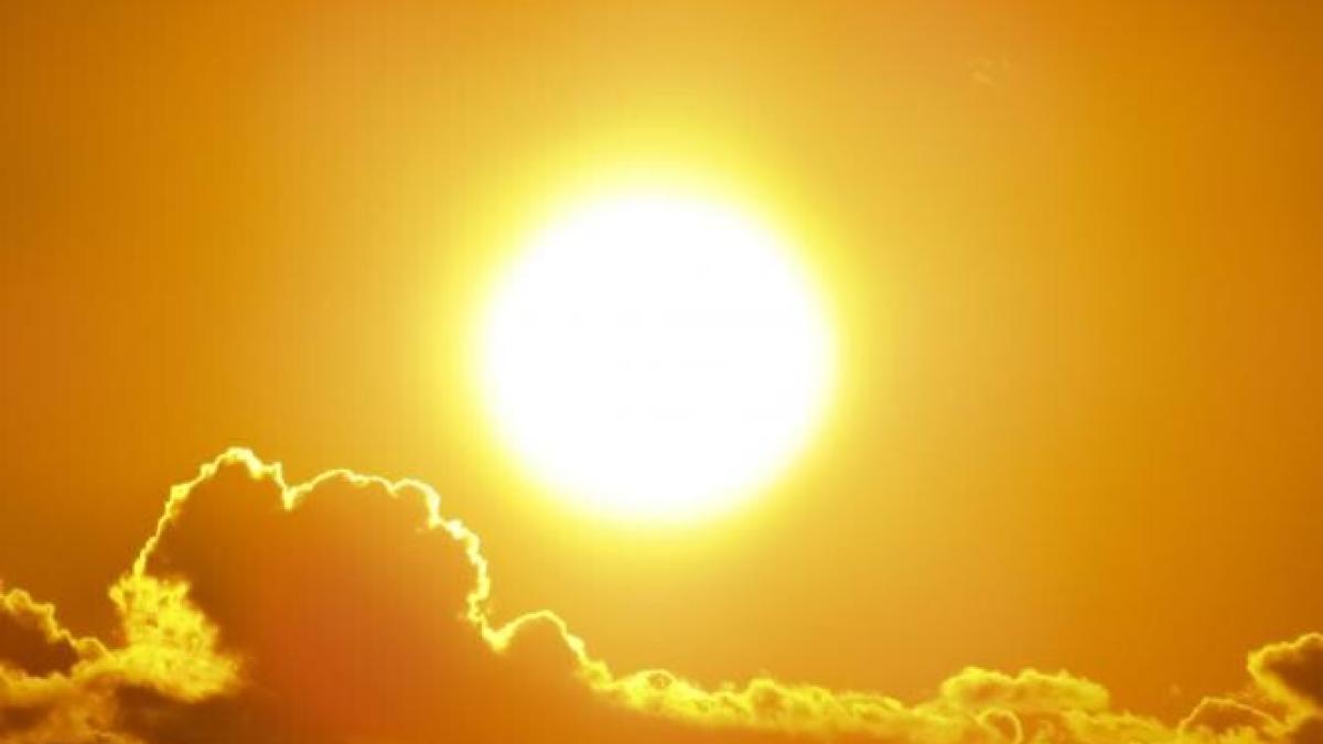 barbat-mort-statie-autobuz_09030800