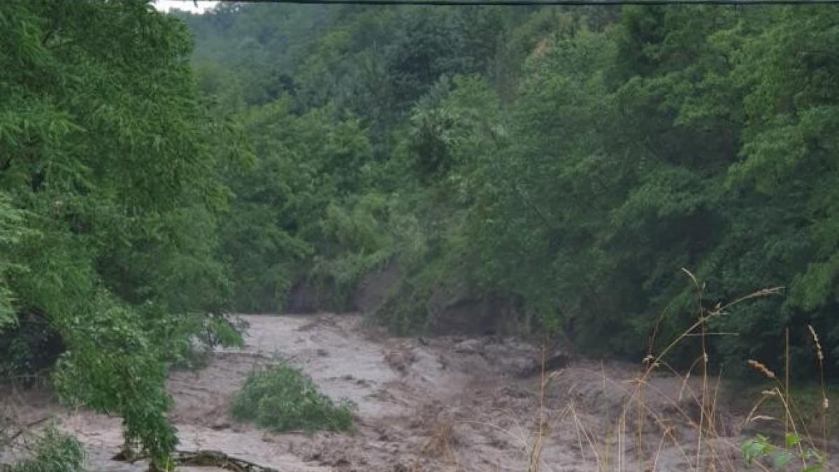 masprc-ccprc-a6inaprc-ccprc-86-surprinsaprc-ccprc-86-de-viituraprc-ccprc-86-iprc-ccprc-82ntr-o-comunaprc-ccprc-86-din-cluj_11541100