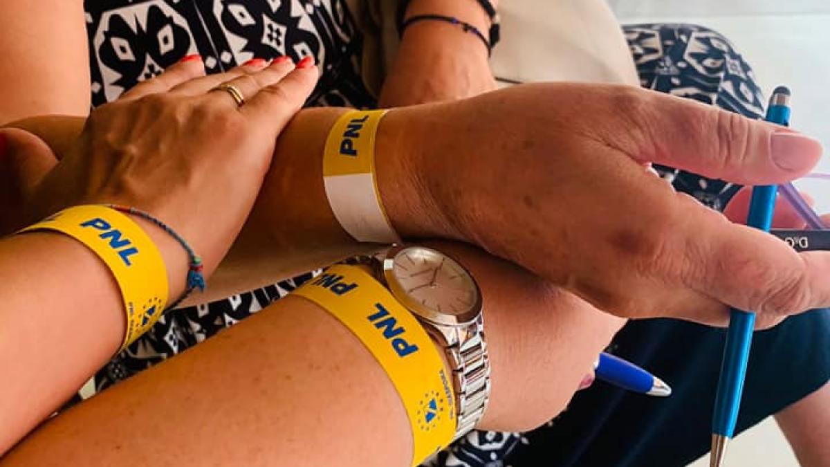 alegeri-pnl-spania-scandal_79289700