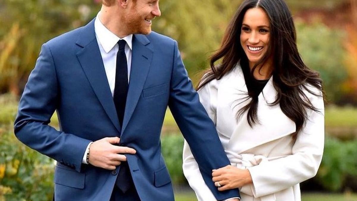 meghan-markle--doar-un-caine-cu-os--printul-harry--avertizat--familia-regala-lucreaza-pentru-indepartarea-ei_85542600