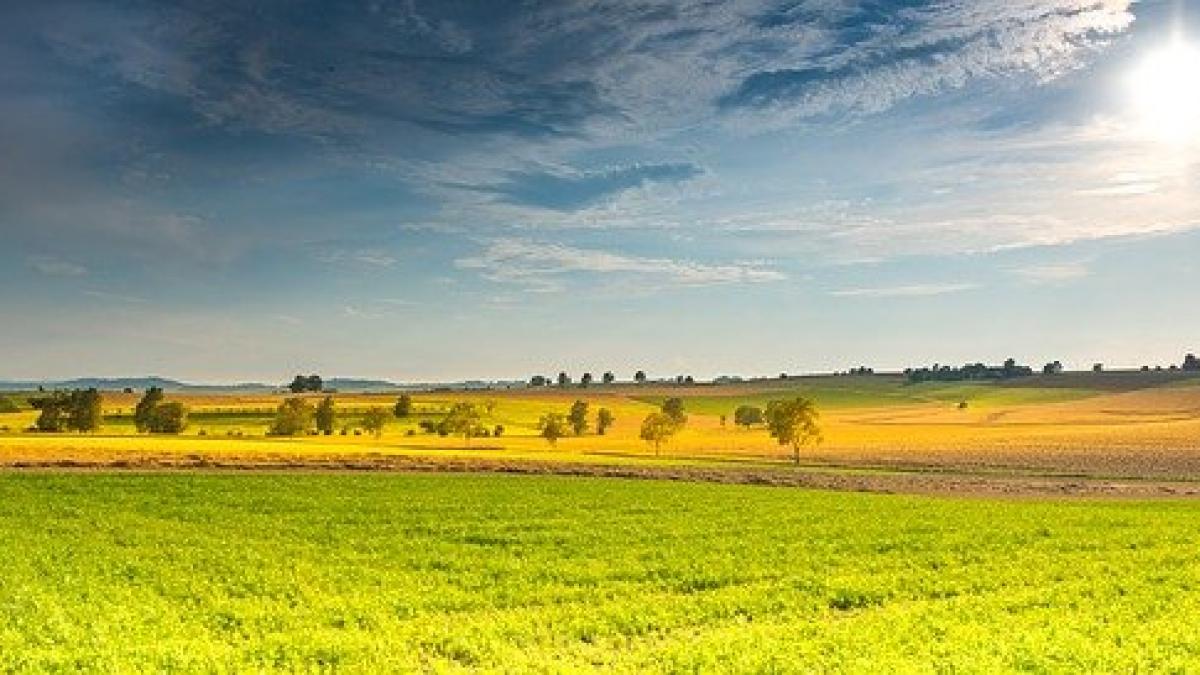 vreme-prognoza-meteo-anm_03774100