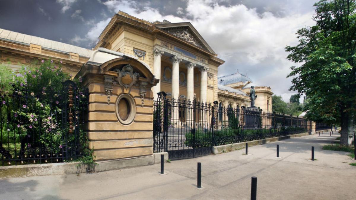 carol-davila_85639000