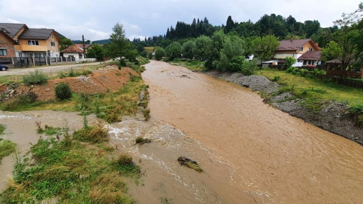 viituri-in-romania-val-valcu_30106500