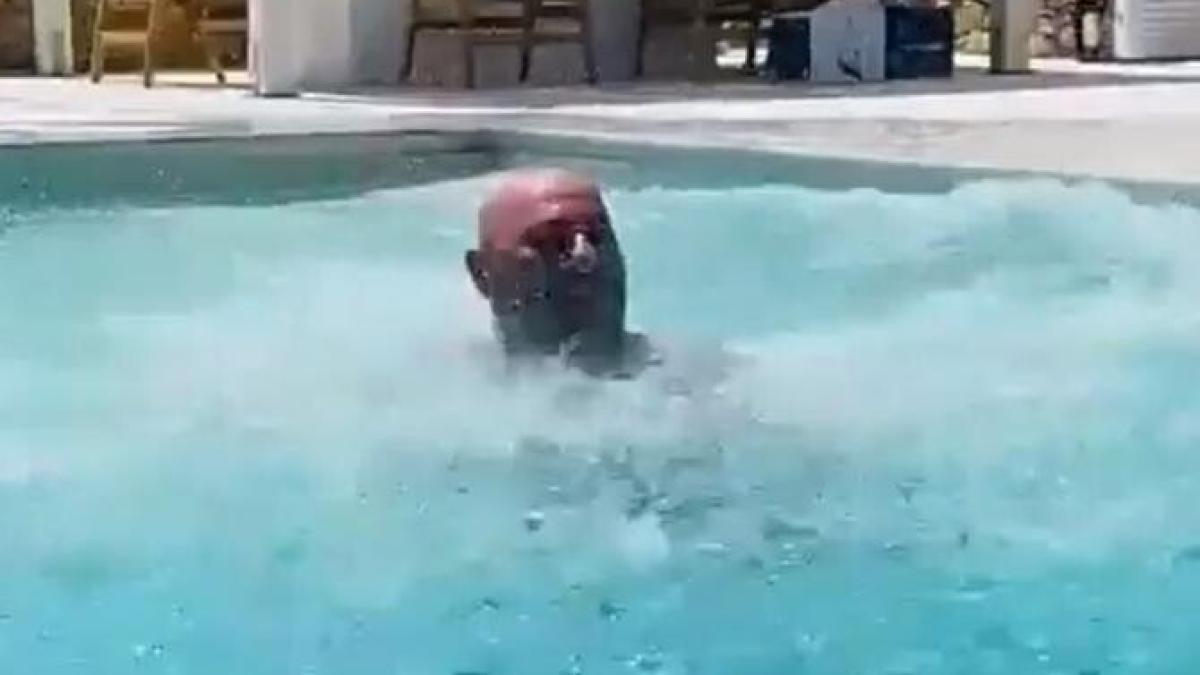 catalin_scarlatescu_instagram_video_67036500