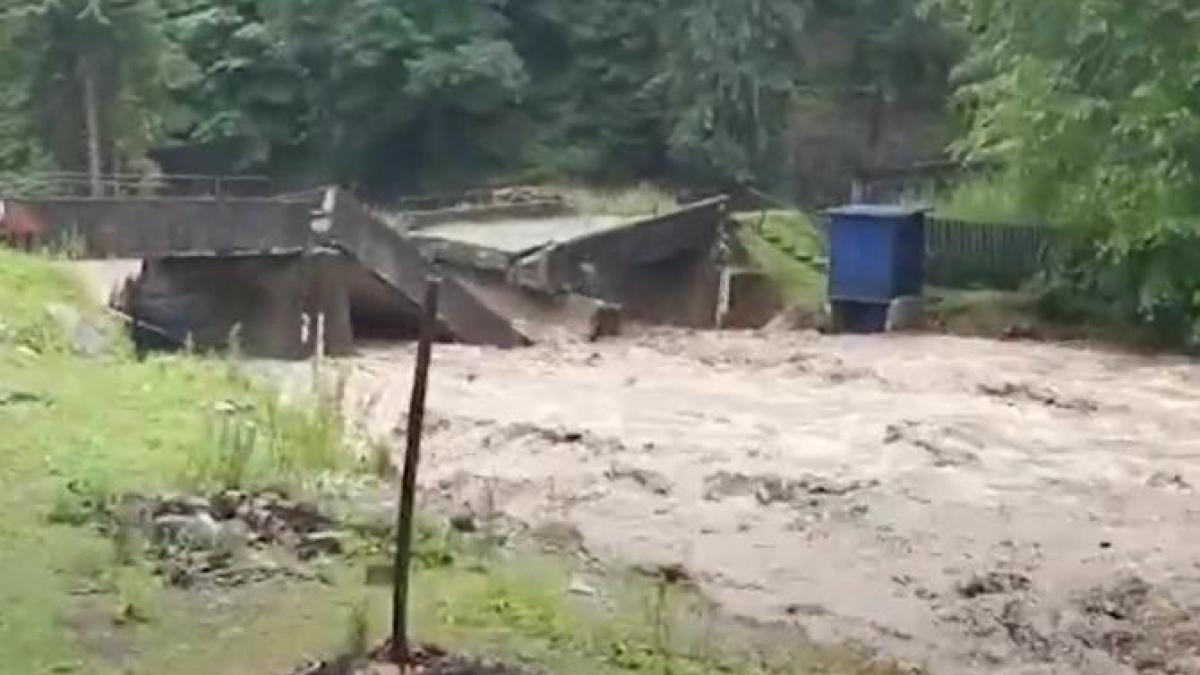 viituri-in-nordul-judetului-arges_75407800