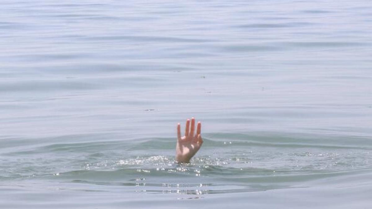 inec-sulina-pexels_37143700