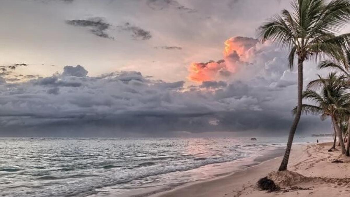 cofondatorul-google-sprc-ccprc-a6i-ar-fi-cumpaprc-ccprc-86rat-o-insulaprc-ccprc-86_06648100