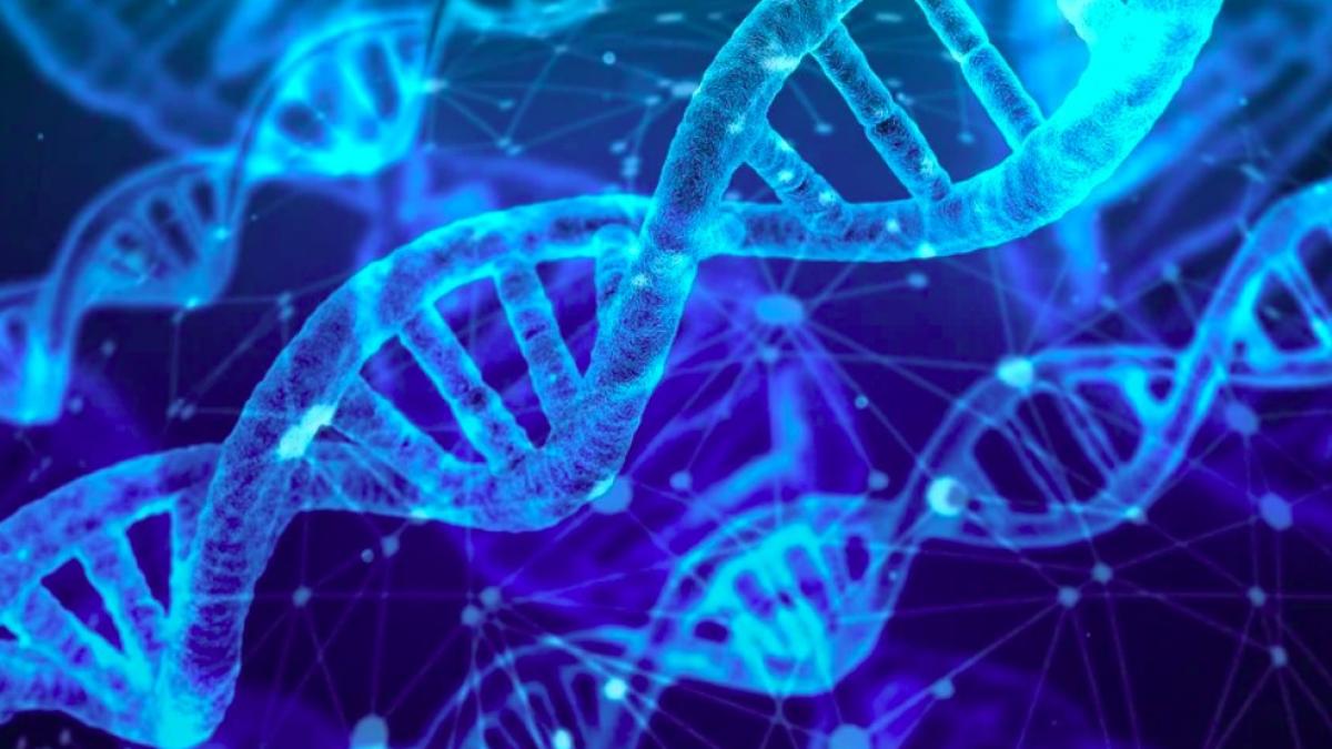 adn_proteina_ilustrativ_pxb_30164900