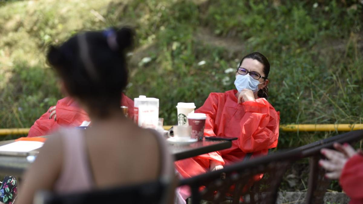 adriana_saftoiu_pnl_orban_mesaj_66067100