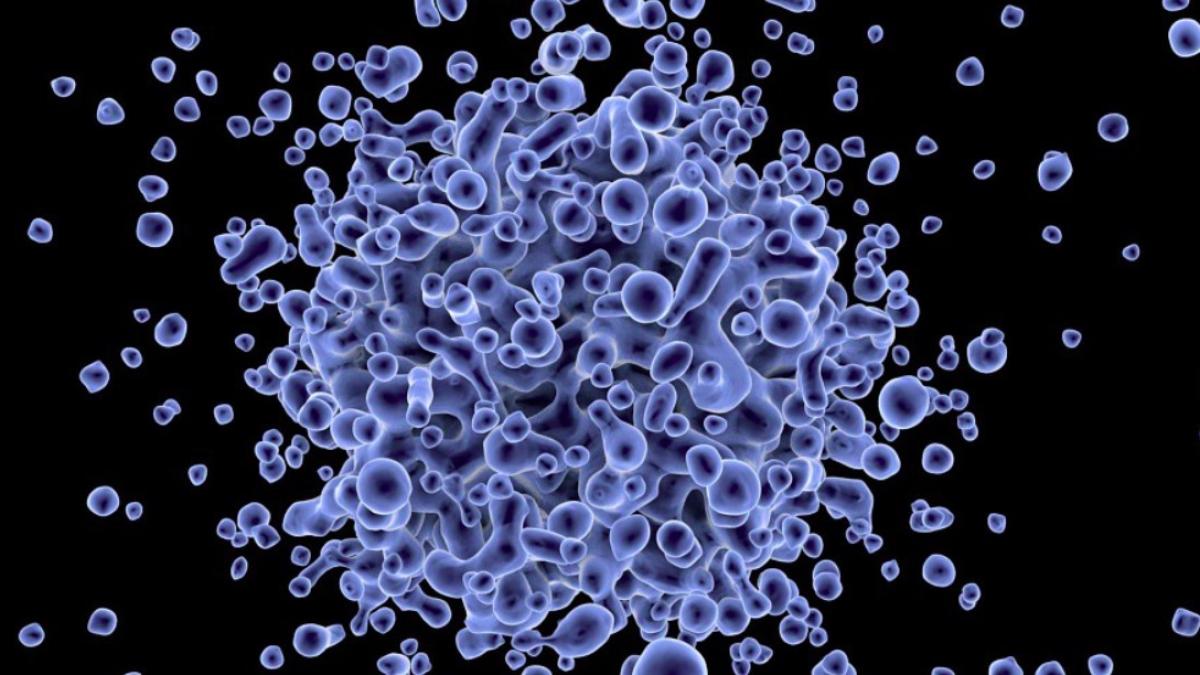 hepatita_ilustrativ_pixabay_63897600