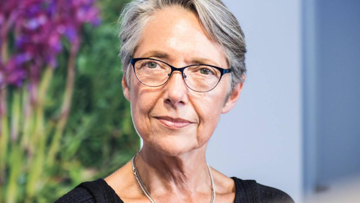 ministrul-francez-al-muncii-permis-sanitar-concedieri_82567600