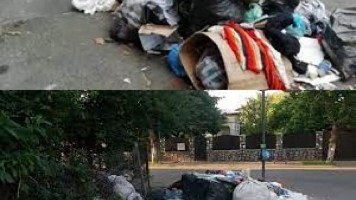 gunoaie-craiova-dolj_25453500