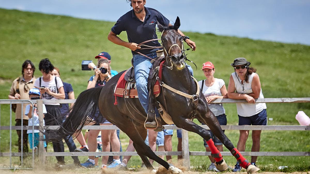 denis-stefan_06184400