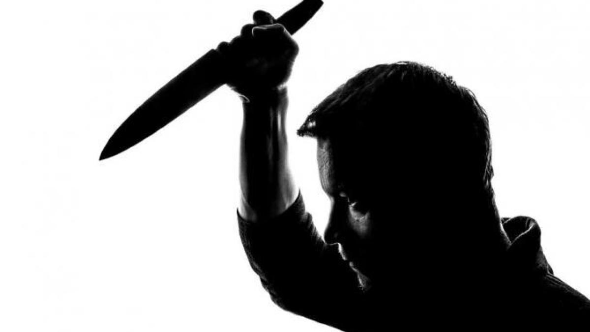 ucigas-pisici_96764300