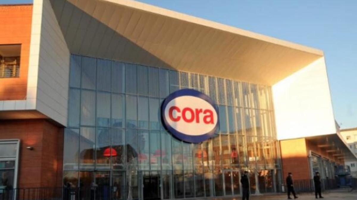 cora-inghetata_52042200