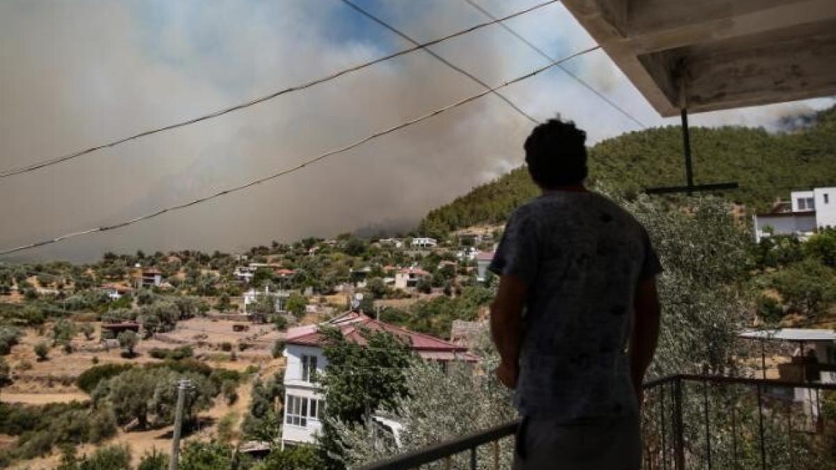 turcia_dezastru_agerpres_10_58880000