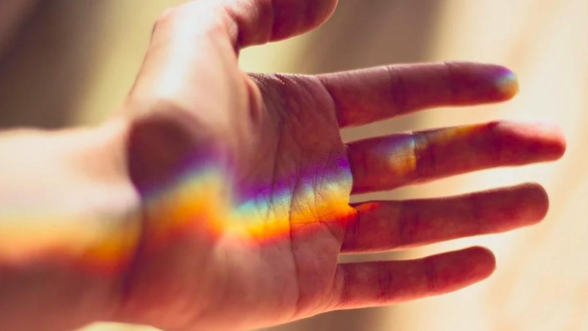 palma_ilustrativ_pxb_28319000