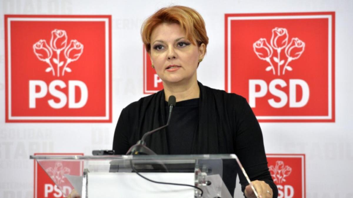 rectificare-bugetara-lia-olgua-vasilescu-fac-pariu_05627100