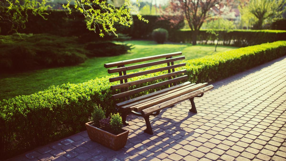 parc-sector-1-pexesl_53491500