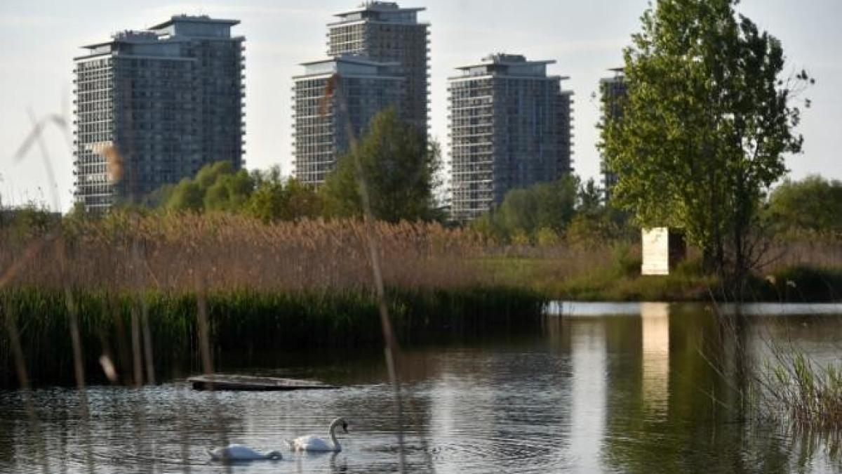 parcul-natural-vaprc-ccprc-86caprc-ccprc-86resprc-ccprc-a6ti-are-100-de-proprietari-privatprc-ccprc-a6i--croitoru--ananp---se-judecaprc-ccprc-86_54465300