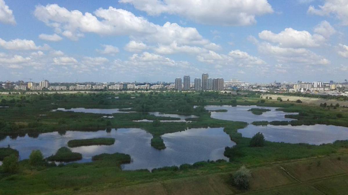 delat-vacaresti_15606100