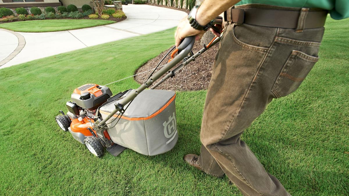 tipuri-de-masini-de-tuns-iarba_82852200