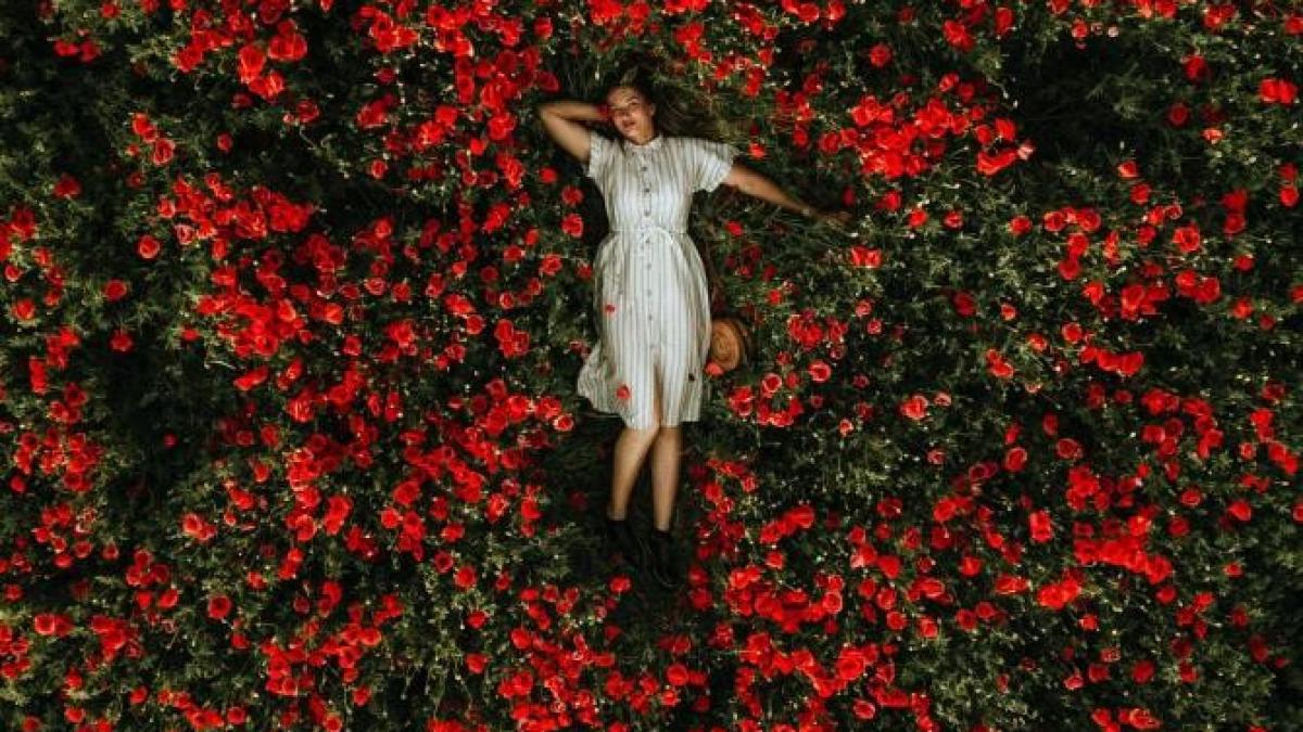 luna_noua_8_august_zodii_foto_pexels_17752800