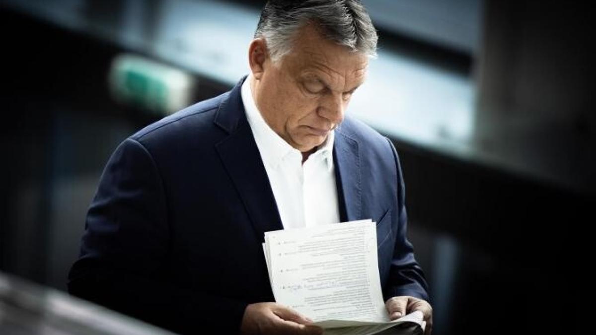 viktor-orban-dusmani-ungaria_72668200