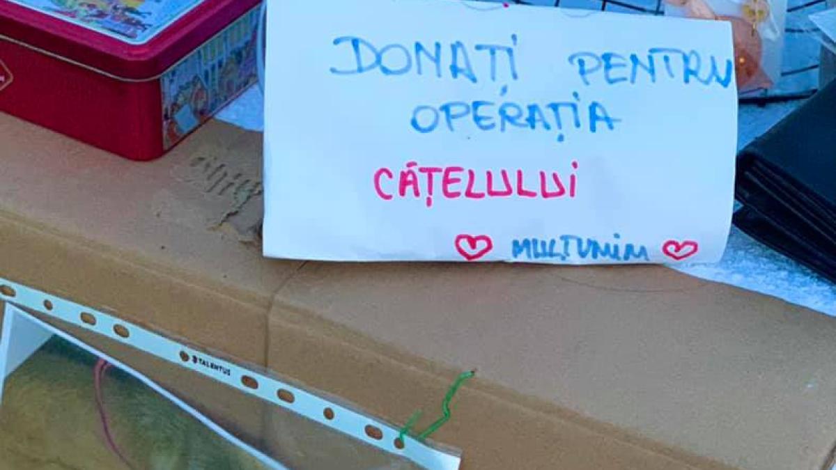 vama-veche-operatie-catel_44151700