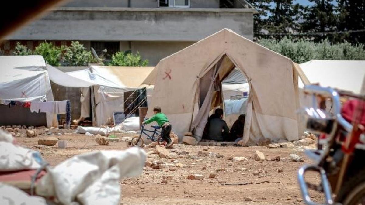 migrati-sua_31607400