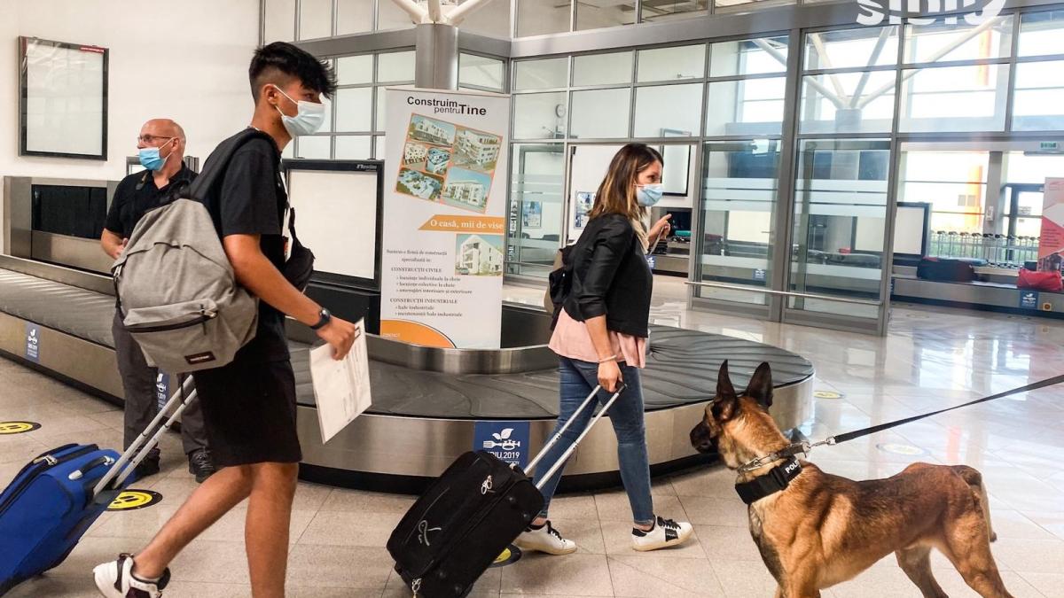 aeroport-sibiu-caine-covid_87643600