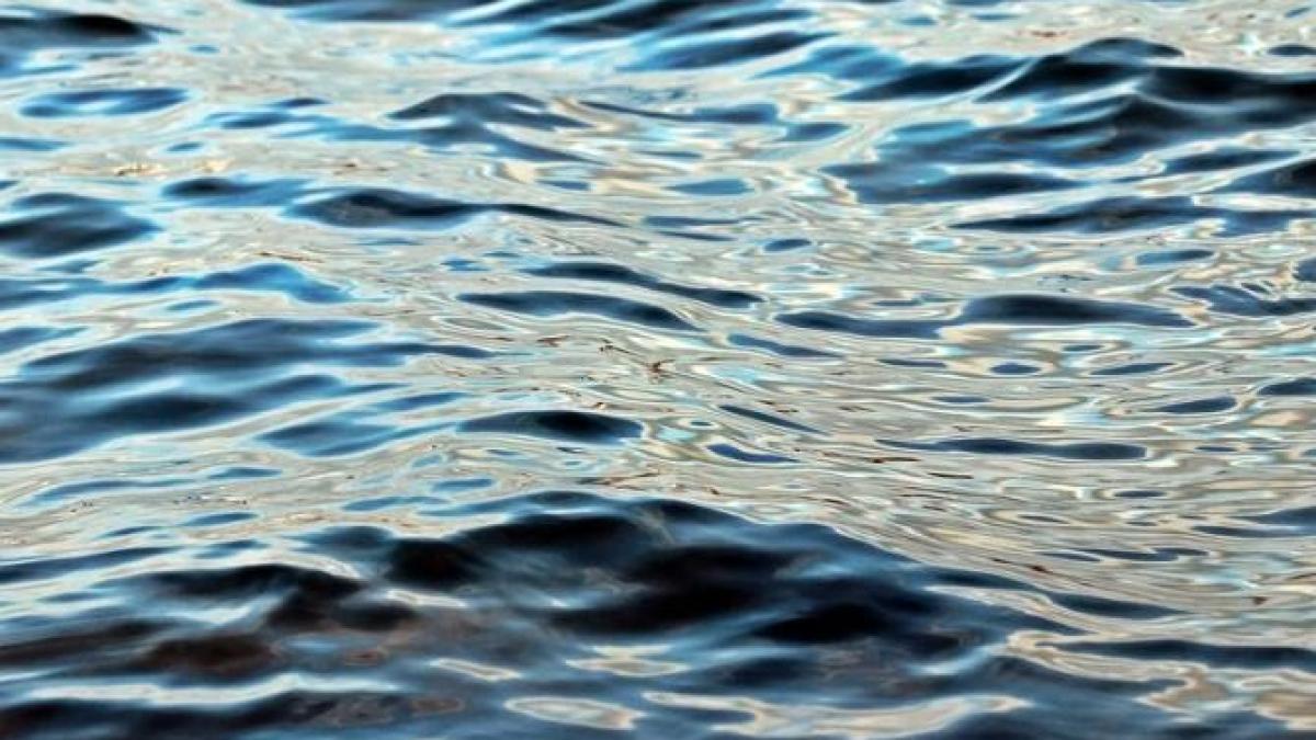 tragedie-iprc-ccprc-82ntr-un-sat-din-botosprc-ccprc-a6ani--o-fetitprc-ccprc-a6aprc-ccprc-86-sprc-ccprc-a6i-a-pierdut-viatprc-ccprc-a6a-iprc-ccprc-82necataprc-ccprc-86-iprc-ccprc-82ntr-un-iaz_60011000