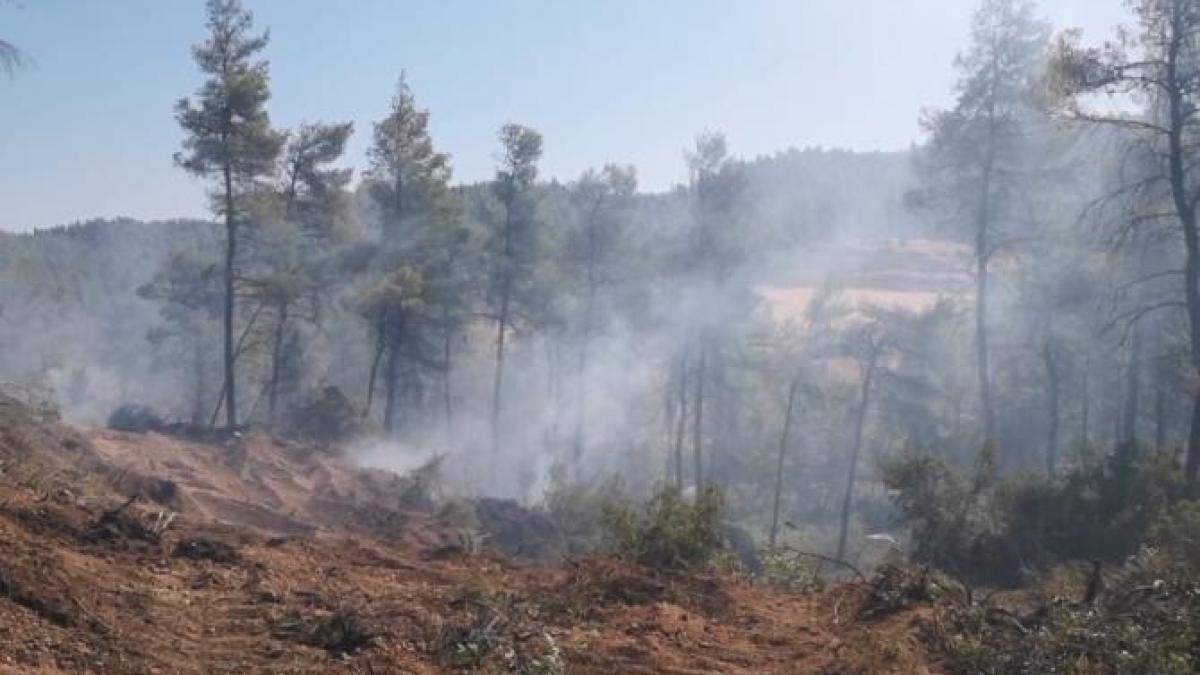 video-primele-imagini-cu-pompierii-romaprc-ccprc-82ni-iprc-ccprc-82n-grecia--a-iprc-ccprc-82nceput-prima-misiune_65391100