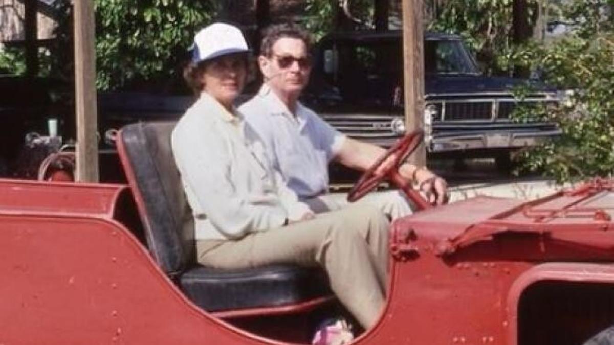 diapozitive-casa-regala_64242300