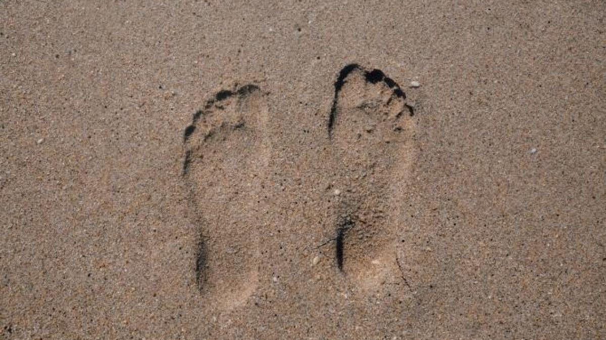 amprenta-carbon_22622100