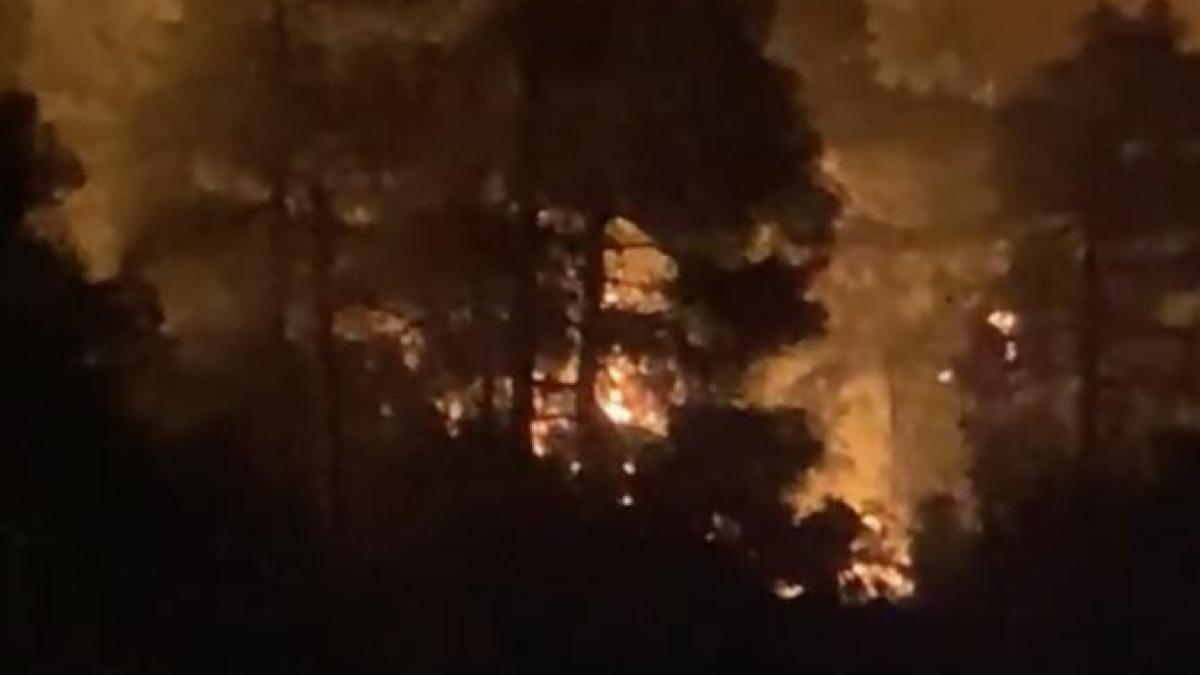 evia-incendiu_29184000