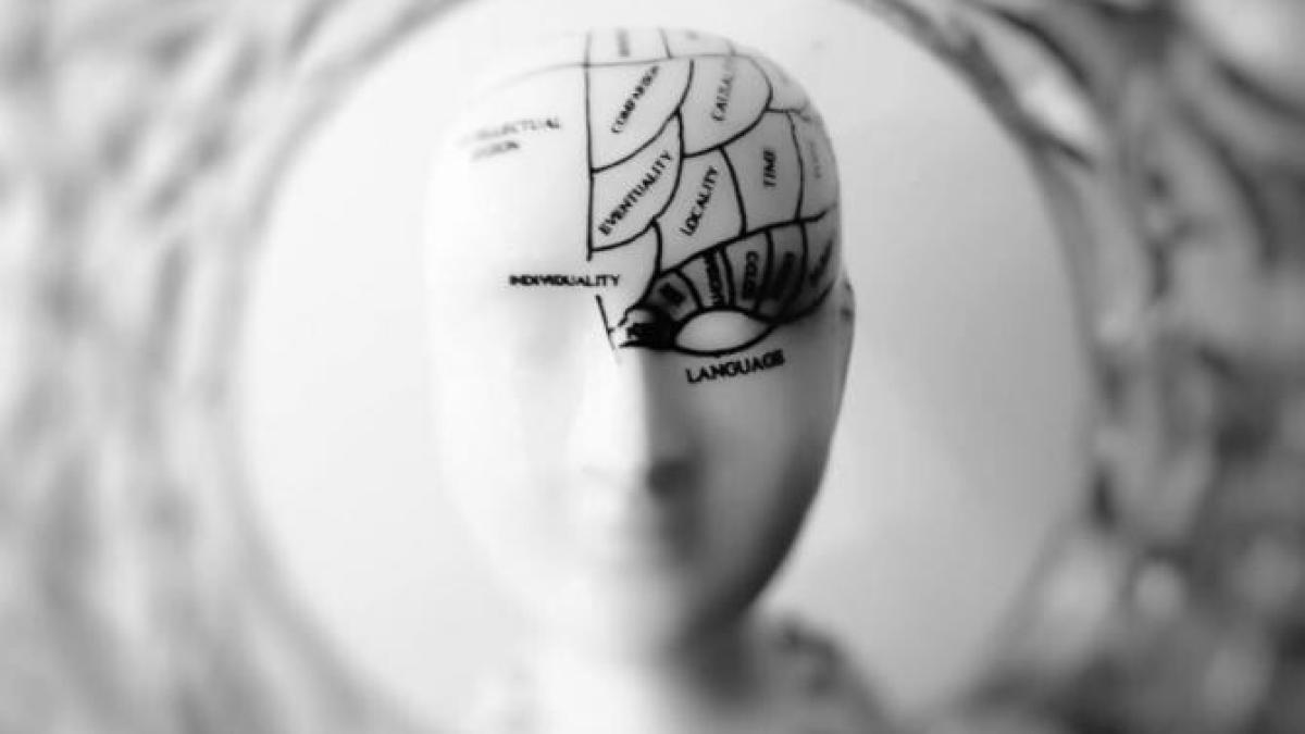 creier_halucinatii_medic_vasi_radulescu_foto_pexels_58936300