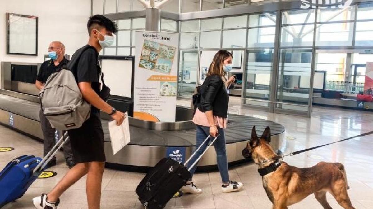 caine-dresati-covid_69650100