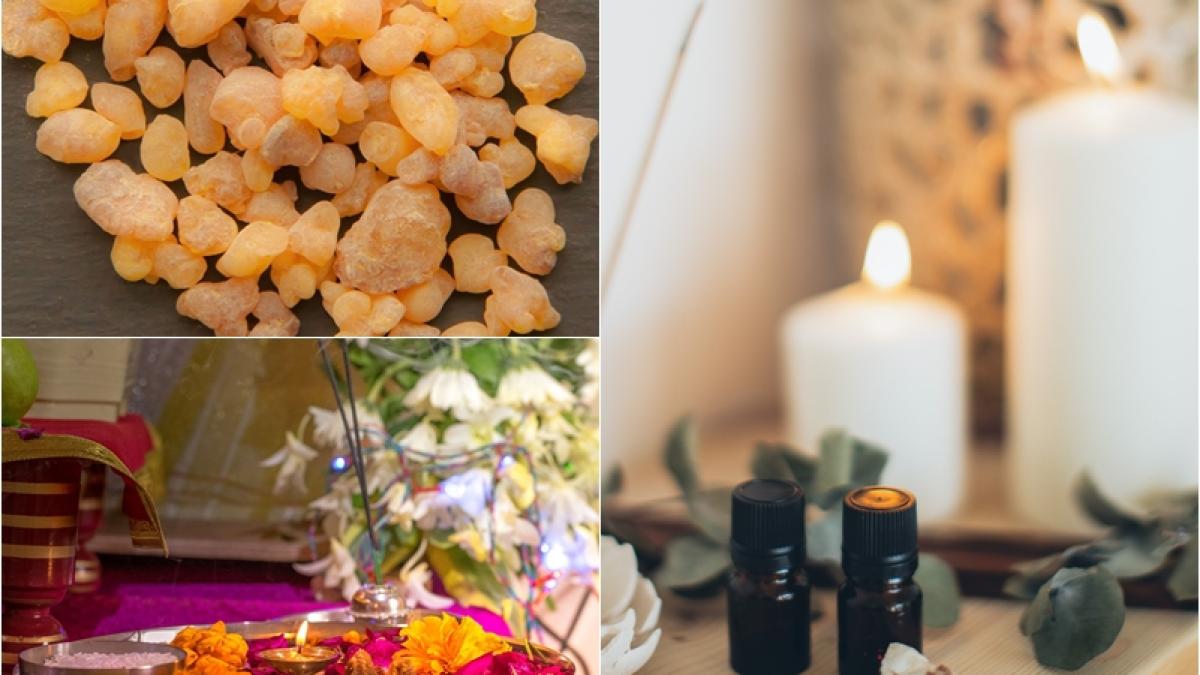 uleiul-esential-de-tamaie--beneficii-miraculoase_18290700