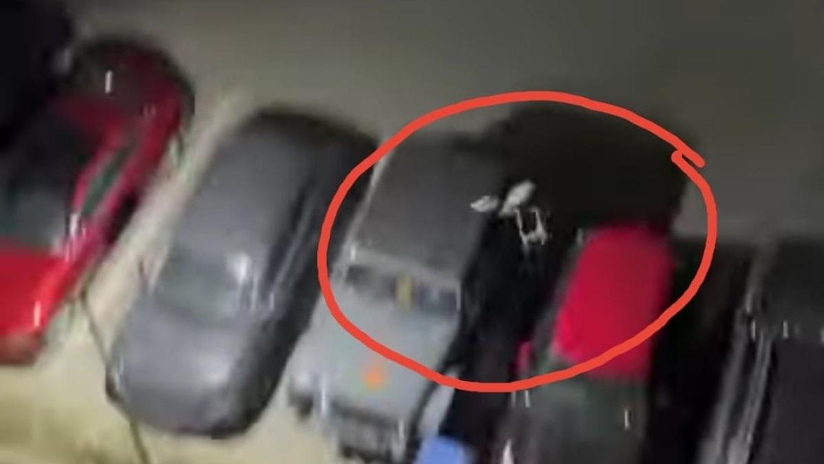 scaun-mamaia_38977200