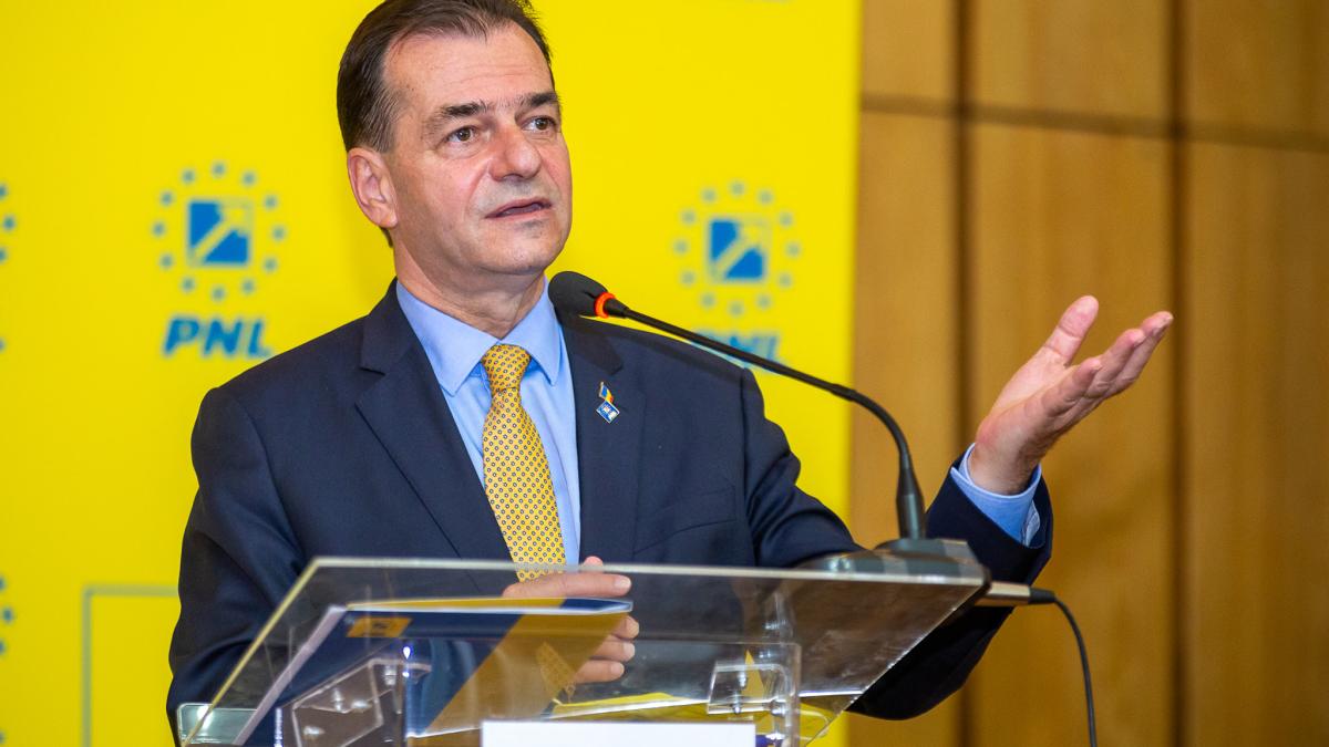 citu--inchis-in-sua--dan-vilceanu-orban-le-a-aratat-documentul--acum-doua-luni--unor-colegi_15103600