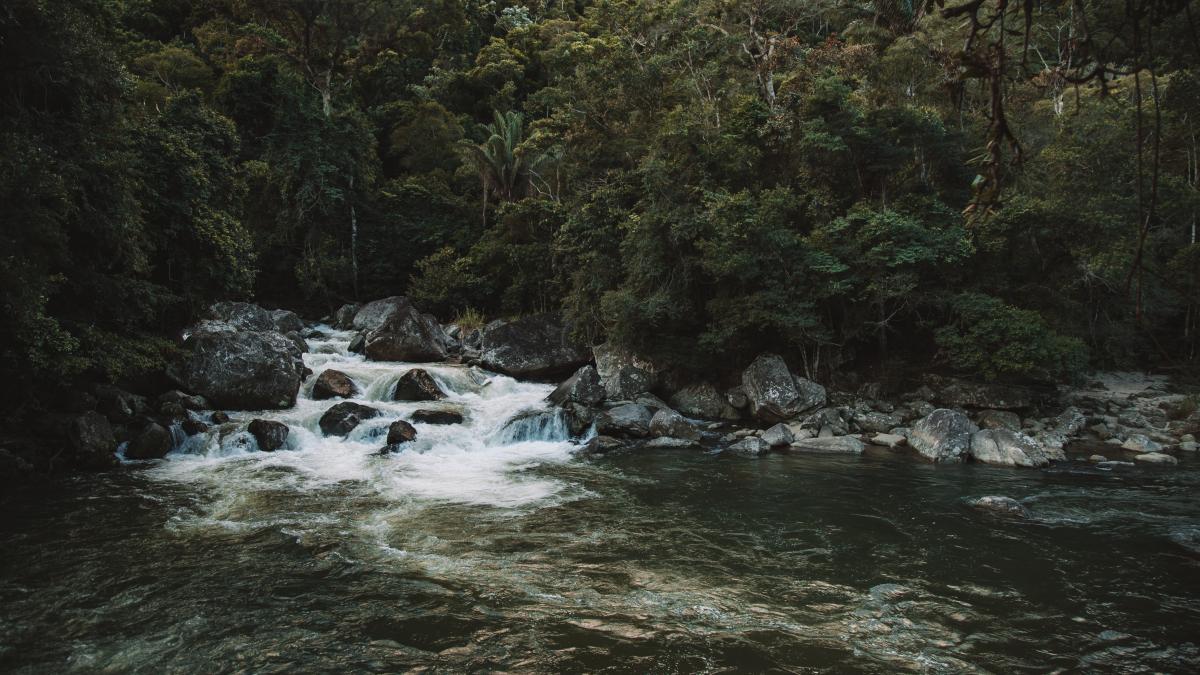 rau-de-munte_85050100